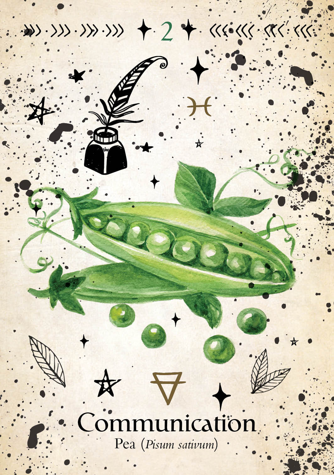 Green Witch Oracle Cards